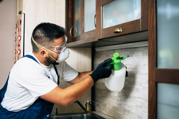 Best Pest Control Treatment  in Markle, IN