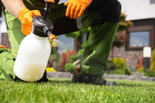 Reliable Markle, IN Pest Control Solutions
