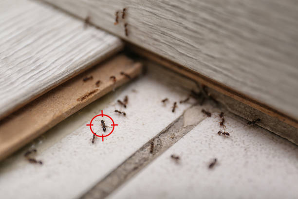 Best Wildlife Control Services  in Markle, IN