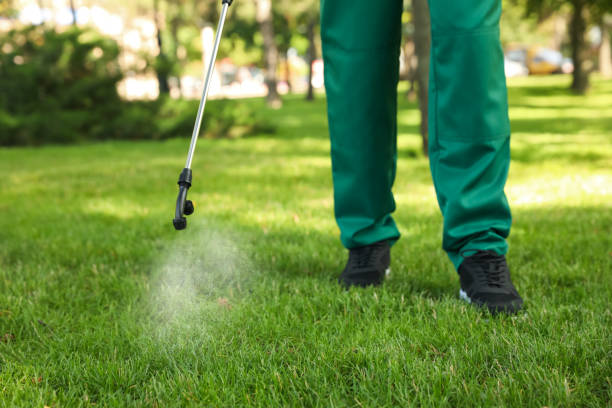 Best Affordable Pest Control Services  in Markle, IN