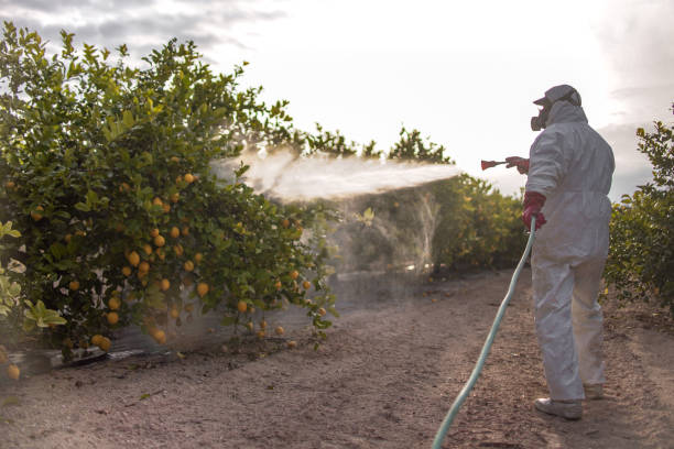 Best Wasp Removal Services  in Markle, IN
