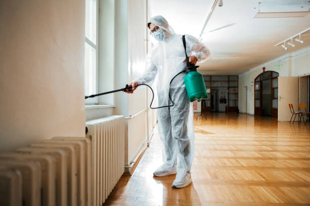Best Bed Bug Extermination  in Markle, IN