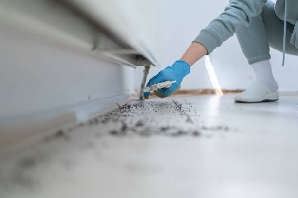 Best Commercial Pest Control Services  in Markle, IN